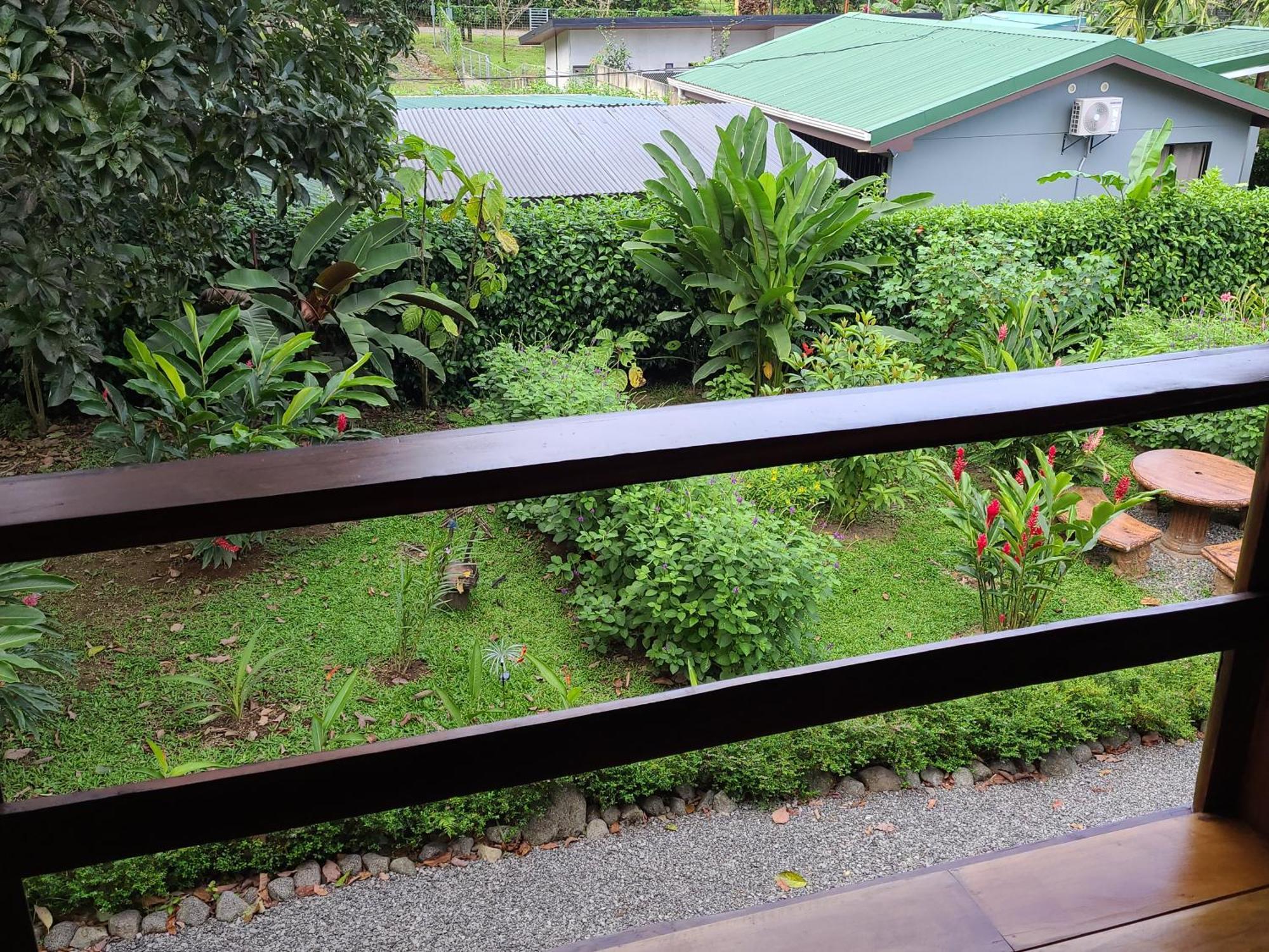 Arenal Sweet Cabins La Fortuna Luaran gambar